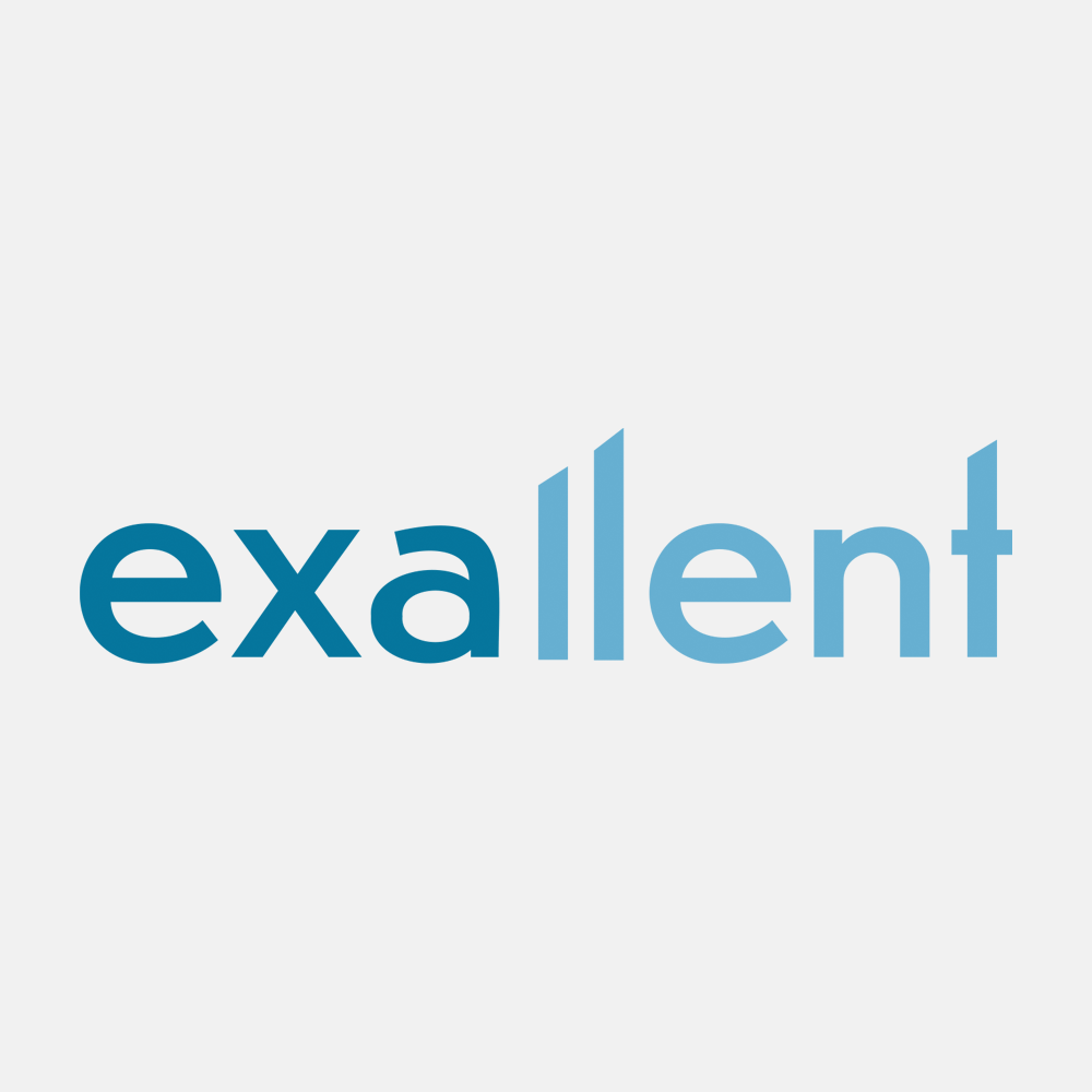 Logo-en-huisstijl-ontwerp-exallent